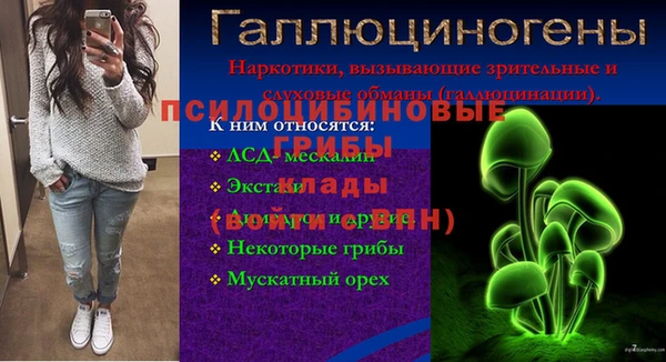 jwh Алзамай