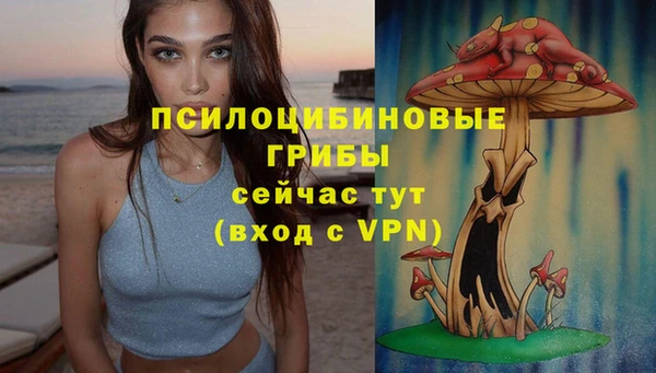 jwh Алзамай
